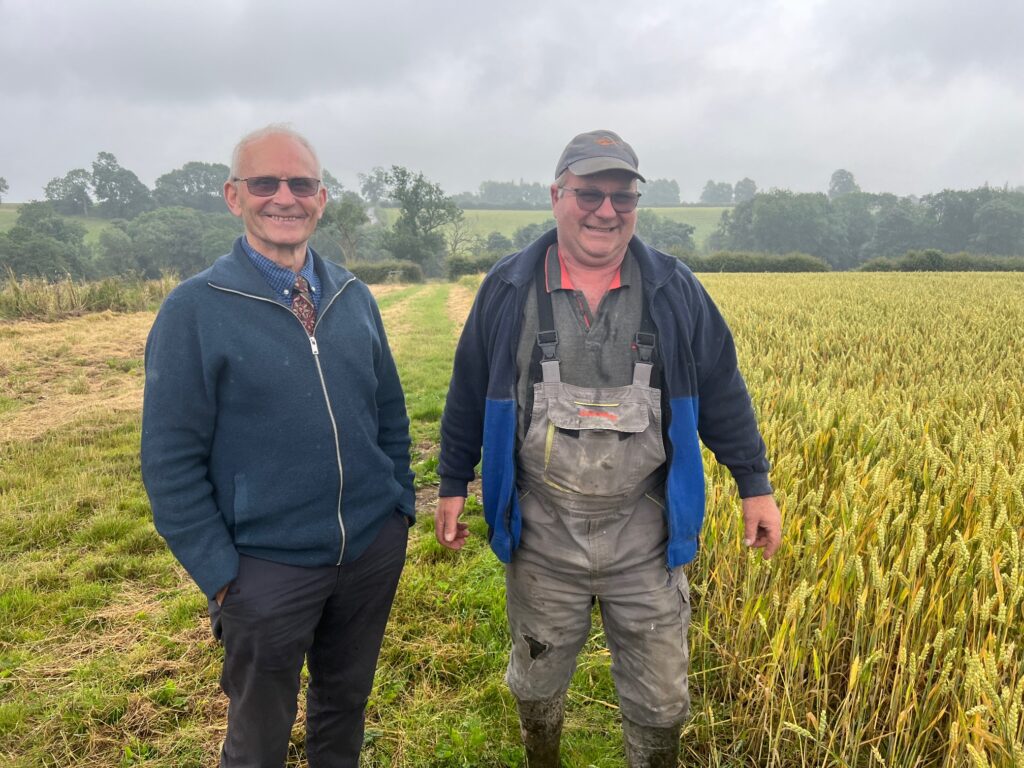 Steward Mick Bailey & Graham Knight Growing Cereal Judging