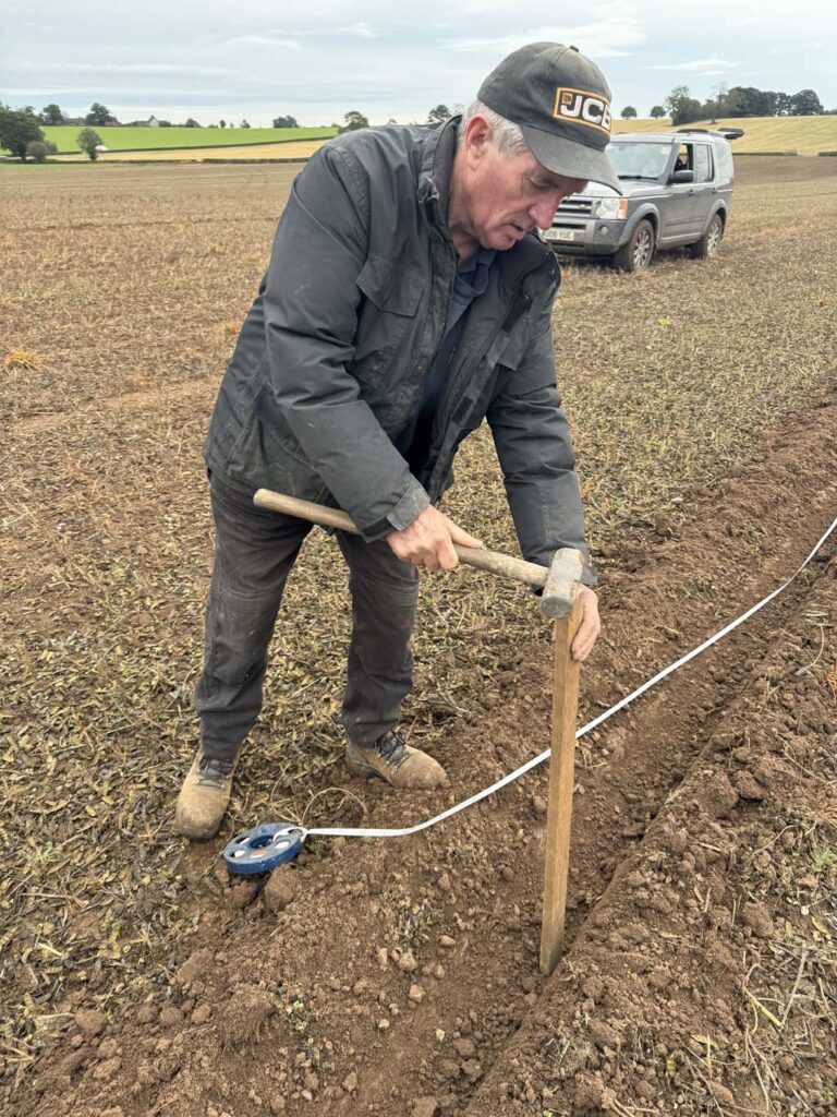 Staking the plots