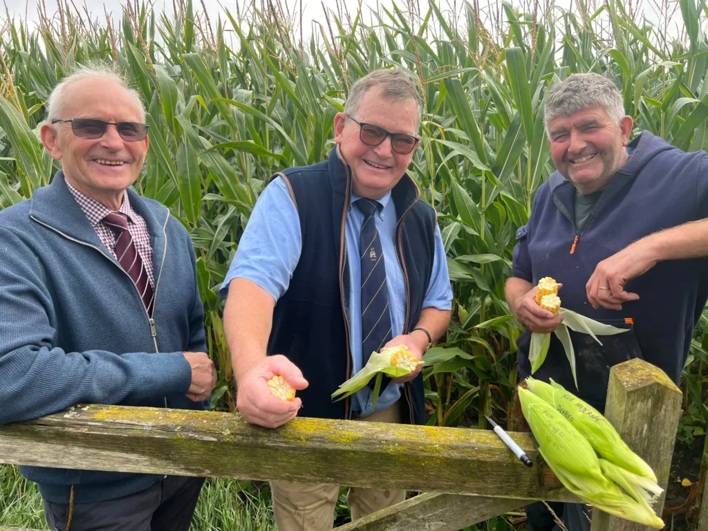 Growing Maize Judges