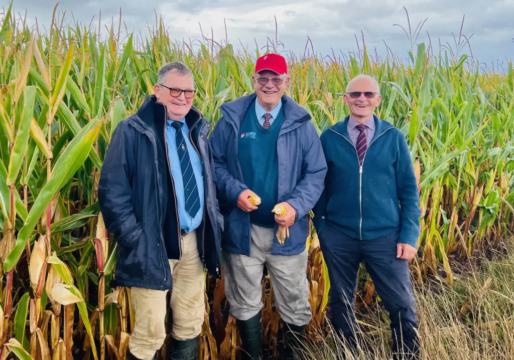Growing Maize Judges